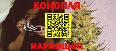 гидропоника Заводоуковск