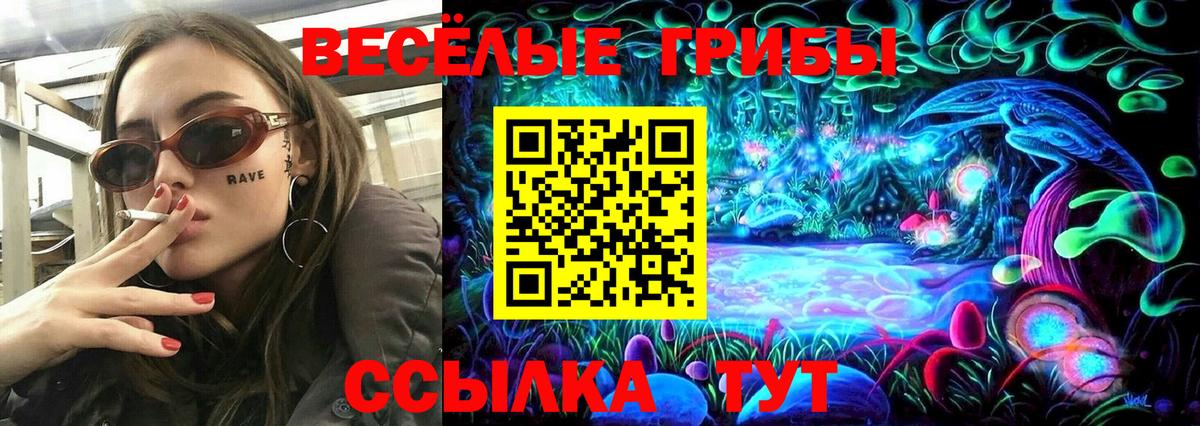 наркотики  Вход с VPN  Магнитогорск  Галлюциногенные грибы GOLDEN TEACHER 